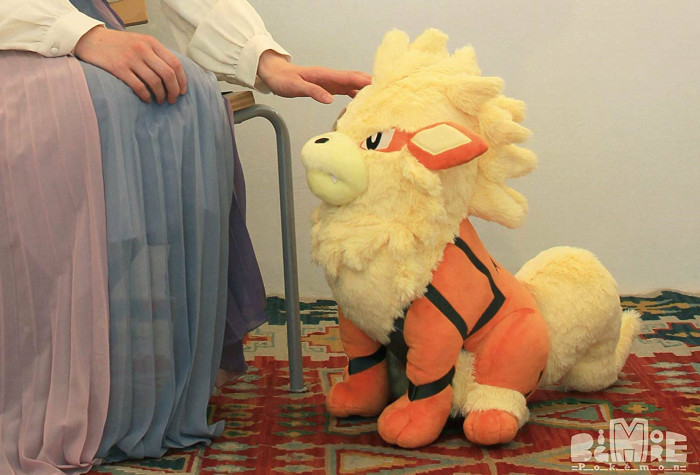 ポケモン BigMore ぬいぐるみ、ポッチャマやウインディ、カラカラ登場