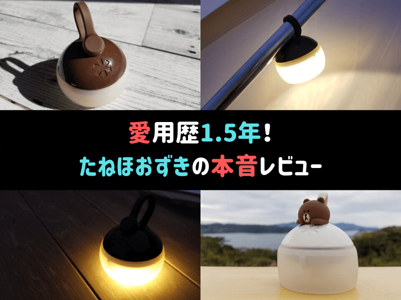 愛用歴1.5年！スノーピーク「たねほおずき」の本音レビュー | POPO CAMP