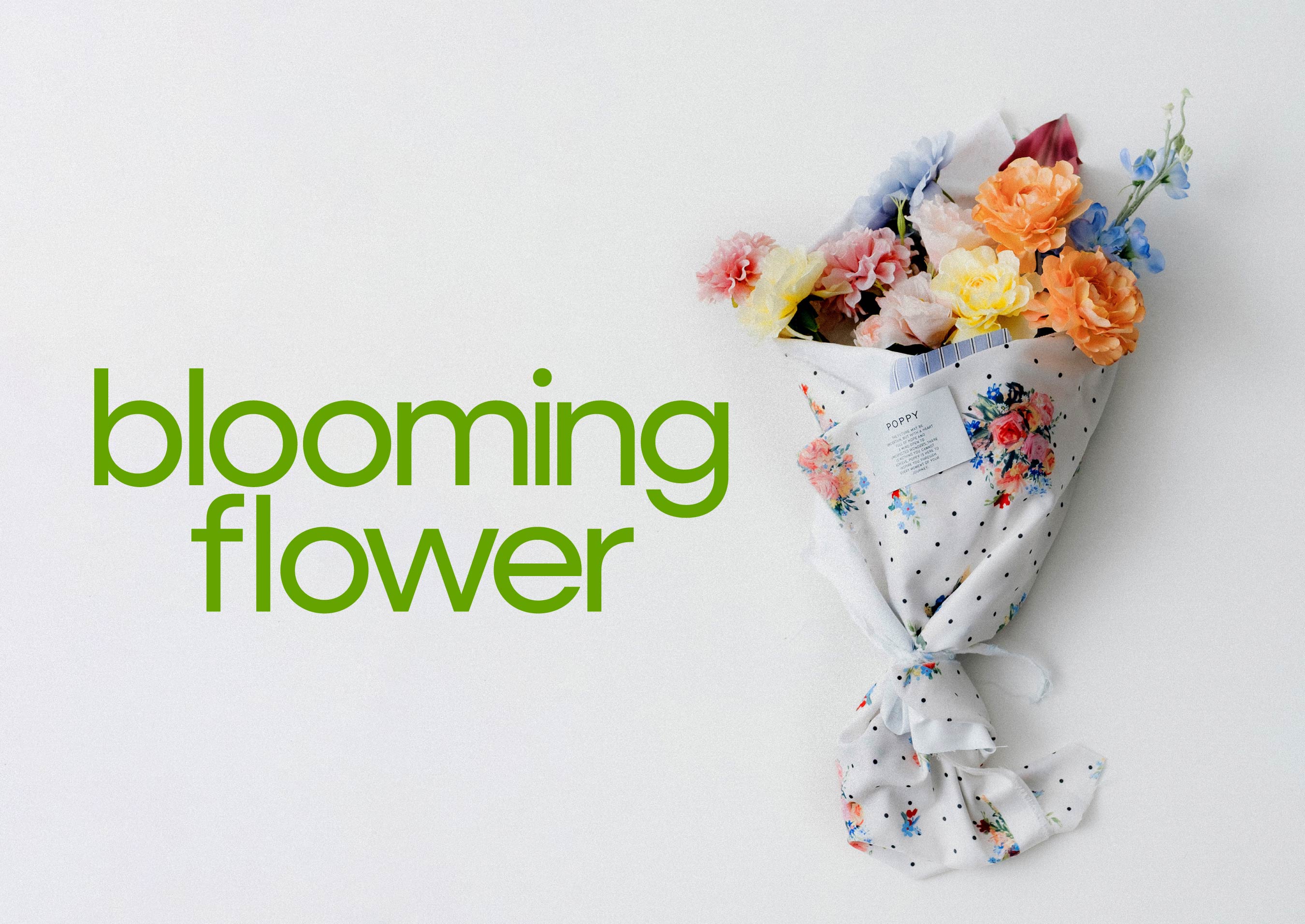 PC_3307bef5-ec54-4b12-886b-