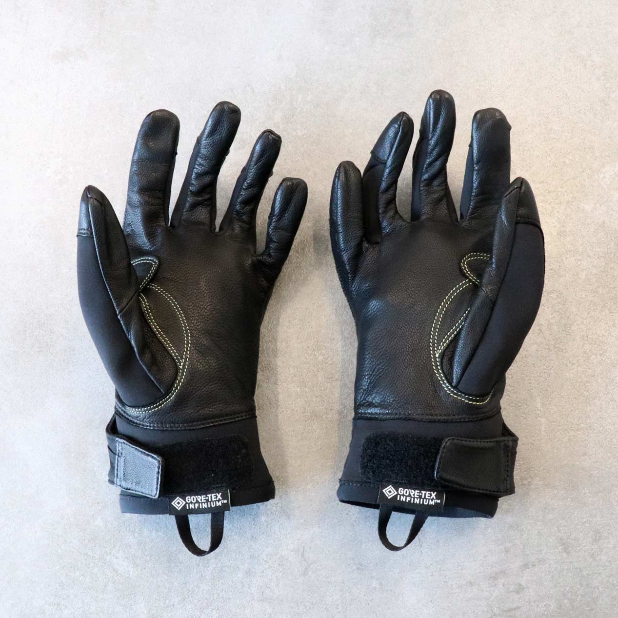 POST JUNK / '19 ARC'TERYX Alpha SL Glove [S]