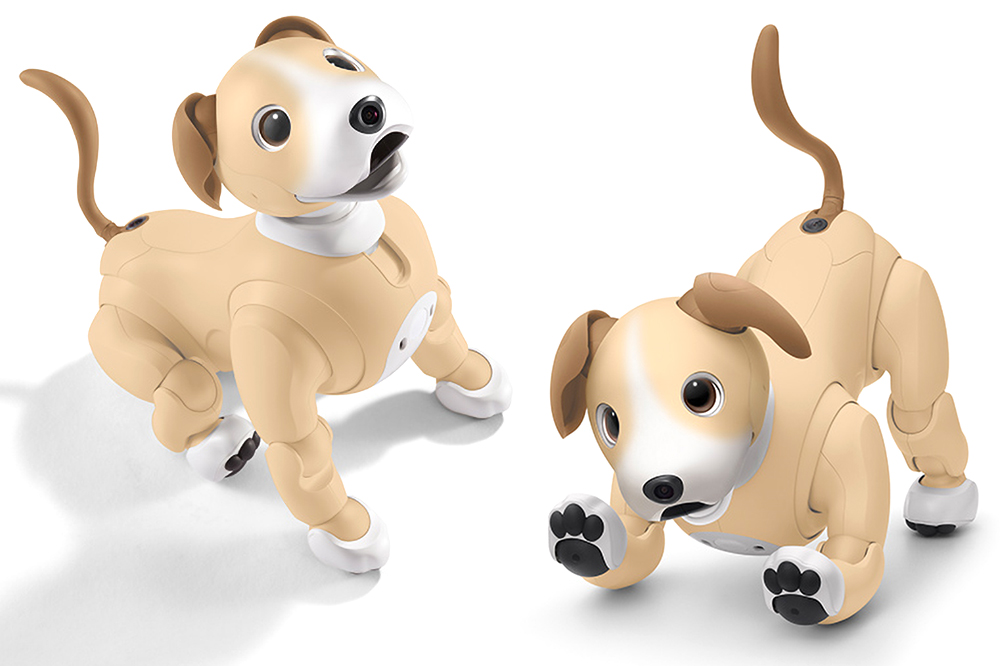 Sony's Aibo robot dog is getting a new colorway and a price hike