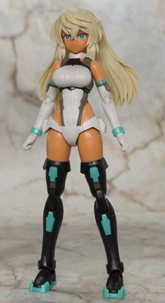 30MS】SIS-H00 セスティエ[カラーC] レビュー | プレナム速報