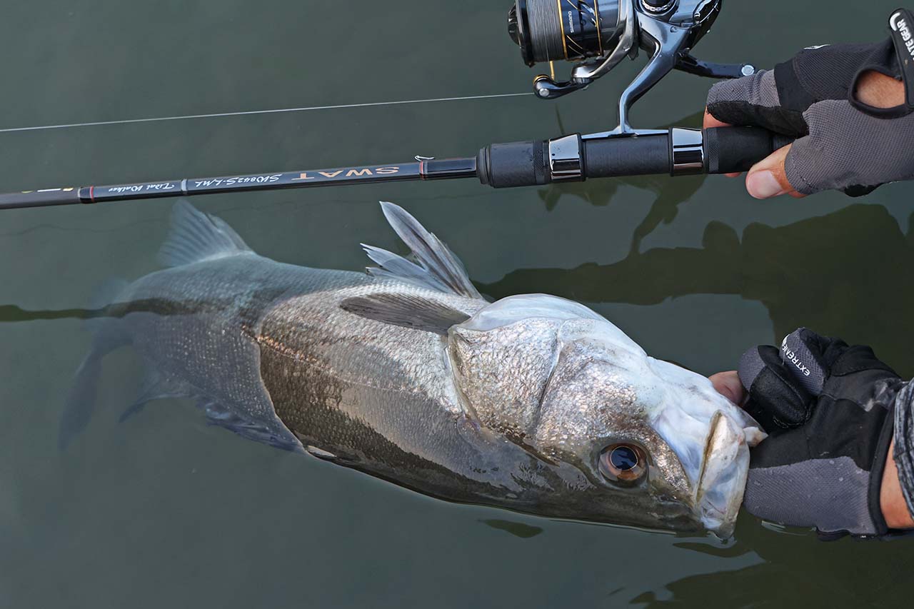 画像 No.1/12] トップで連発！ リバーシーバスゲームが楽しくなる個性