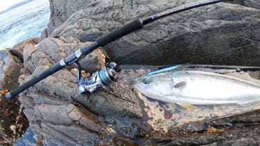 対馬遠征釣行！ジェネラル大澤ロックショア青物！パワーマスター