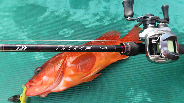 DAIWAのロックフィッシュロッド『HRF®』は入門ロッドのレベルを超越し