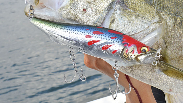 緊急告知！】メガドッグ180ルアマガオリカラ11/30（水）より再販決定