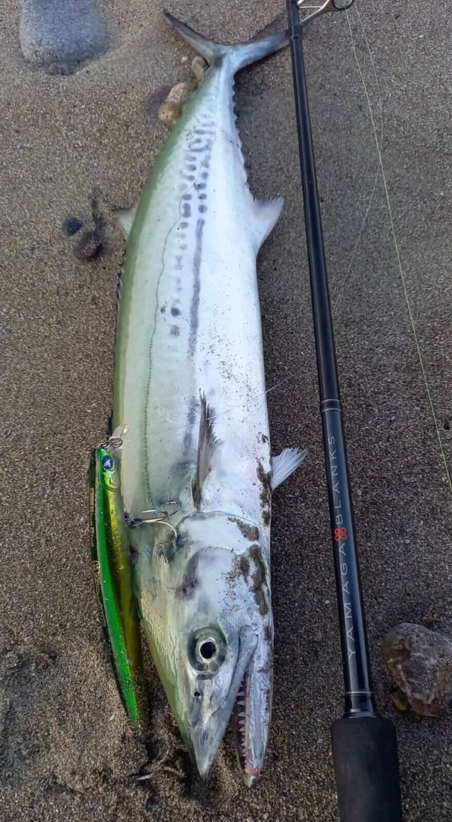 究極の汎用ロッド》大注目の新製品は釣り人の要望にとことん答えた