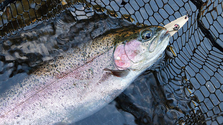 スプーンに見えるけど実はミノー!? カルテラス『ウルキ70』が爆誕で