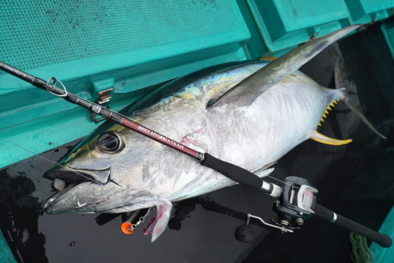 正式公開］ウワサの新機種BRIST HYDRO（ブリストハイドロ）のスペック