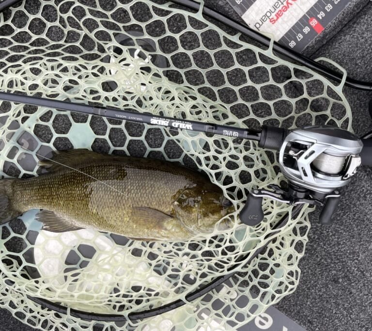 琵琶湖で釣るならこのロッド！】確かな釣果を約束する！プロガイド・林