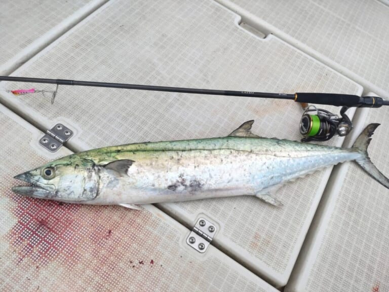 ボートシーバスロッドの「超ハイコスパ」異端児！初めての1本に絶対