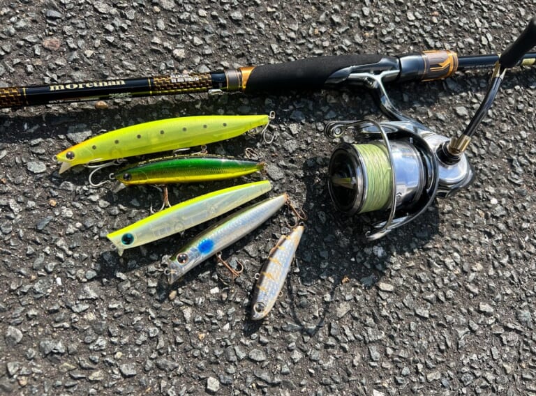 マジかよっ!?キャスト動画付き！】DAIWAの大人気シーバスロッド