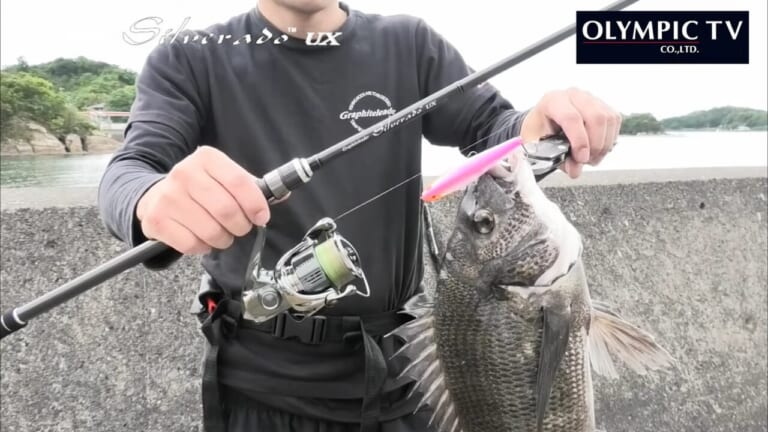 初心者におすすめ】クロダイのルアー釣り（チニング）を始めたいなら