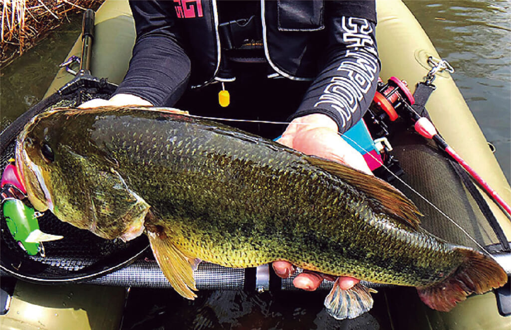デカトップのキモは粘る力。『フロッグプロダクツ』代表の荒井謙太さん