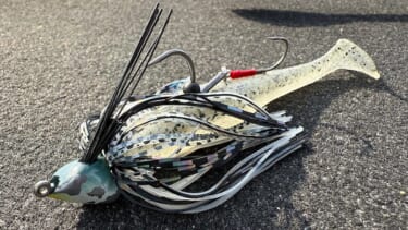 画像 No.1/7] 【値段の価値はある…！】これがルアー!? 本物の魚の皮を