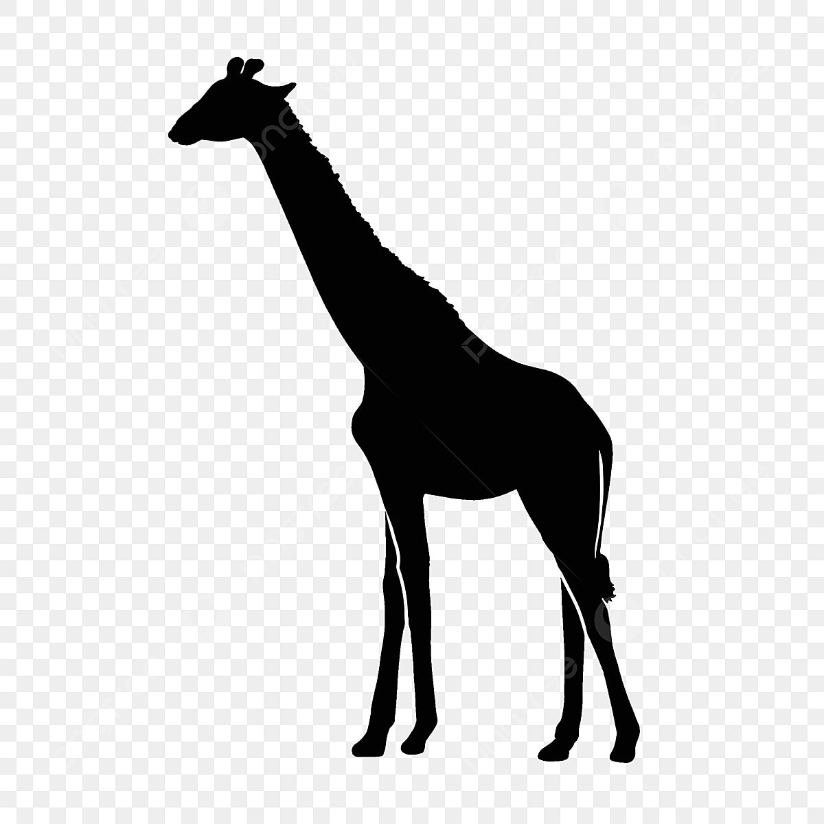 無料のキリンシルエットイラスト素材PNG・フリー 画像 - Pngtree