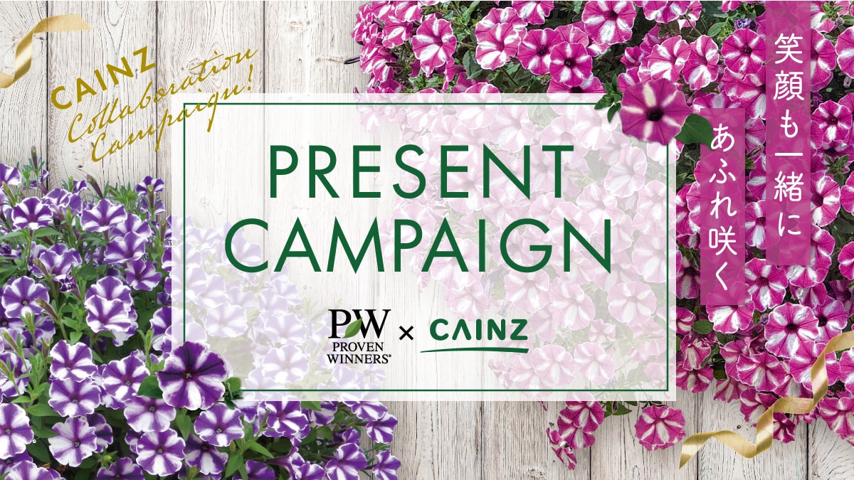 PW×CAINZ】笑顔あふれ咲くプレゼントキャンペーン | PROVEN WINNERS