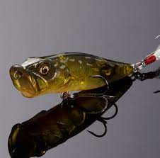 Megabass Popmax SP-C (Special Colors) – Proadvantage.ca