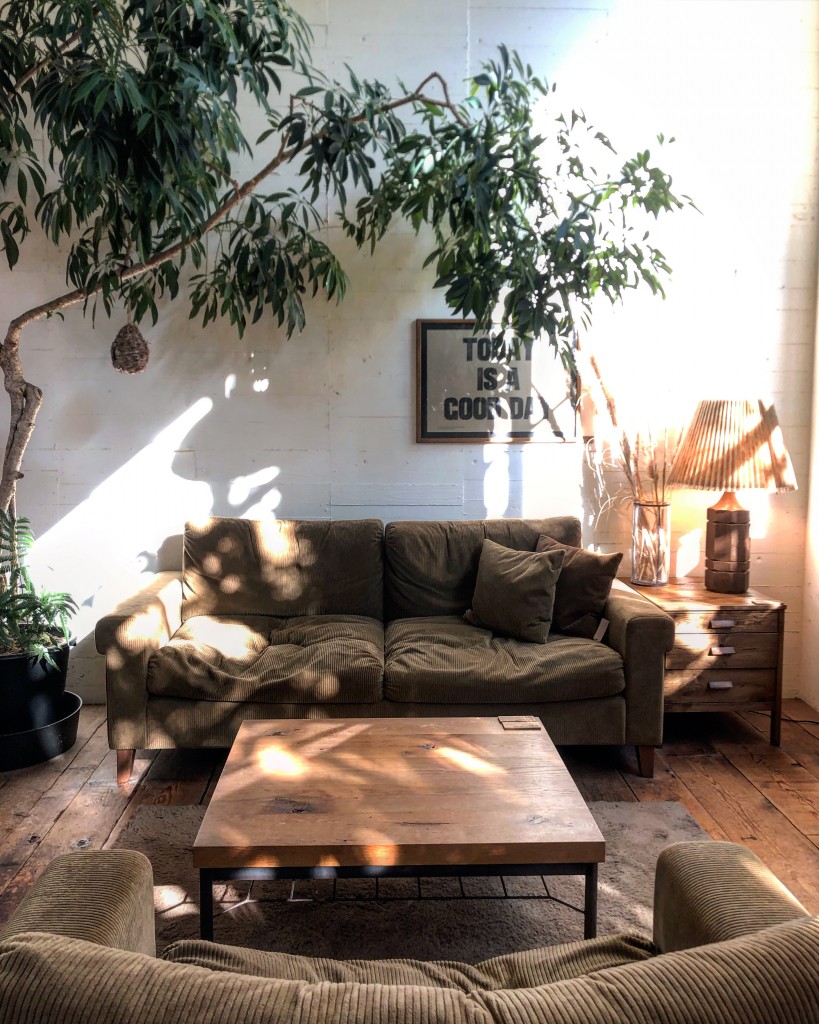 MEDIA – TRUCK FURNITURE