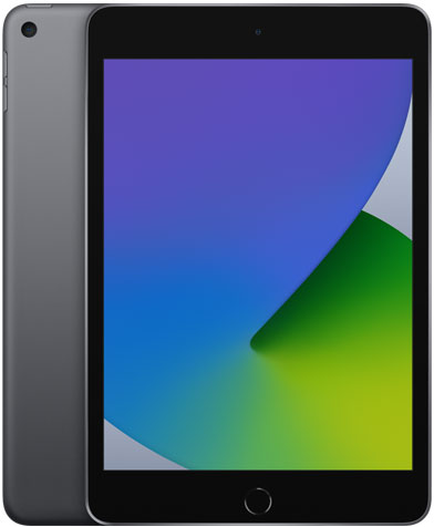 iPad mini 5 （2019年） Wi-Fi+Cellular 256GB 商品一覧|新品・中古