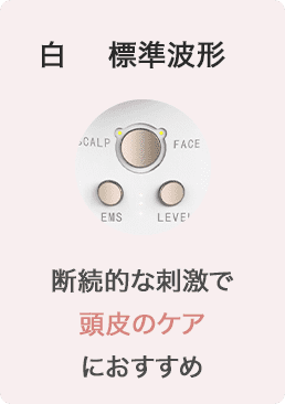 きれいも気分もLiftする オールインone美顔器LifTone（リフトーン）