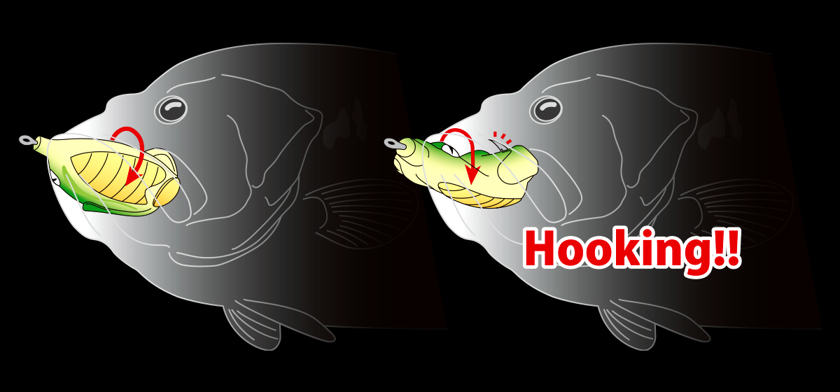 BASIRISKY HARDBELLY | deps OFFICIAL HP | デプス 公式HP