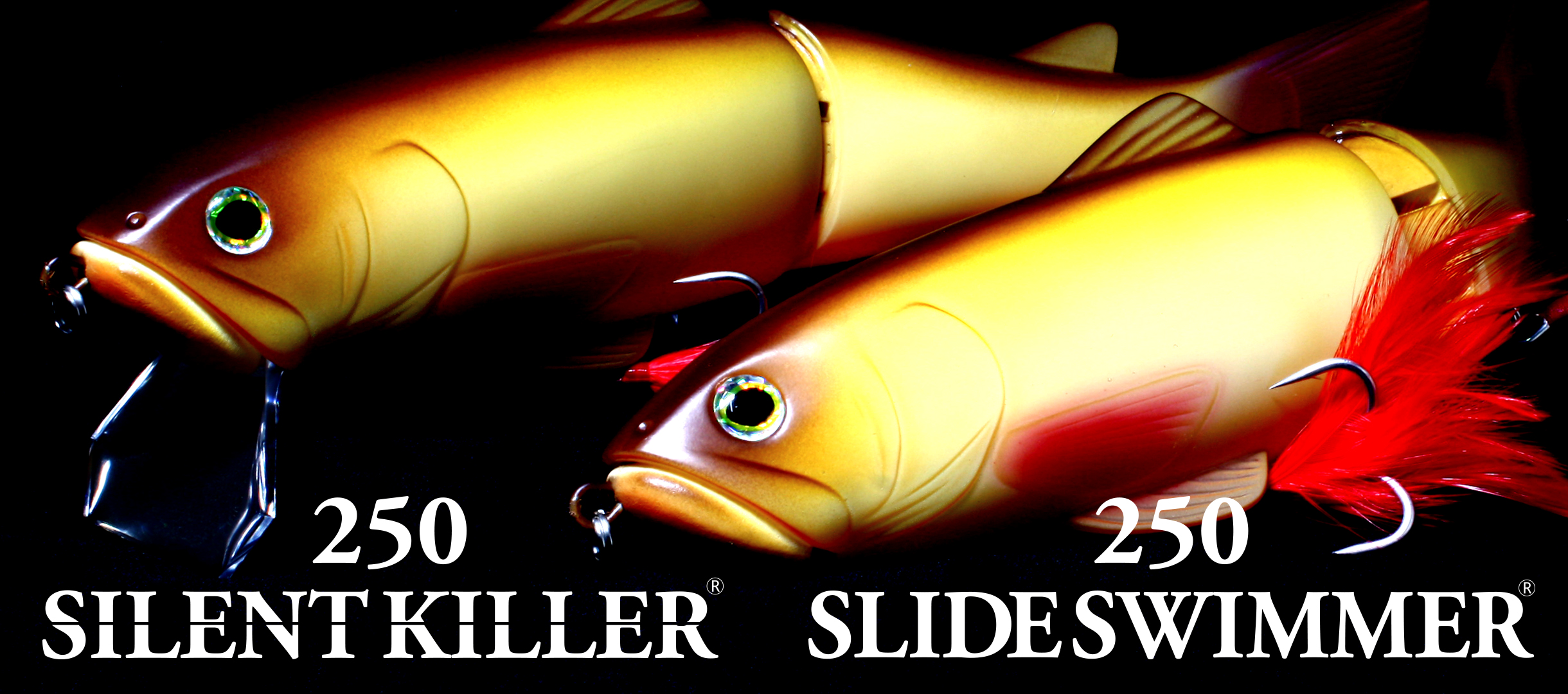 SILENTKILLER250/SLIDSWIMMER250 | deps OFFICIAL HP | デプス 公式HP