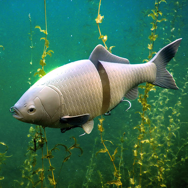 遂に解禁！『鮒重/フナジュウ』。 | deps OFFICIAL HP | デプス 公式HP