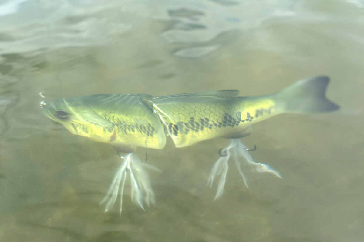 コードネームバス/SS | deps OFFICIAL HP | デプス 公式HP