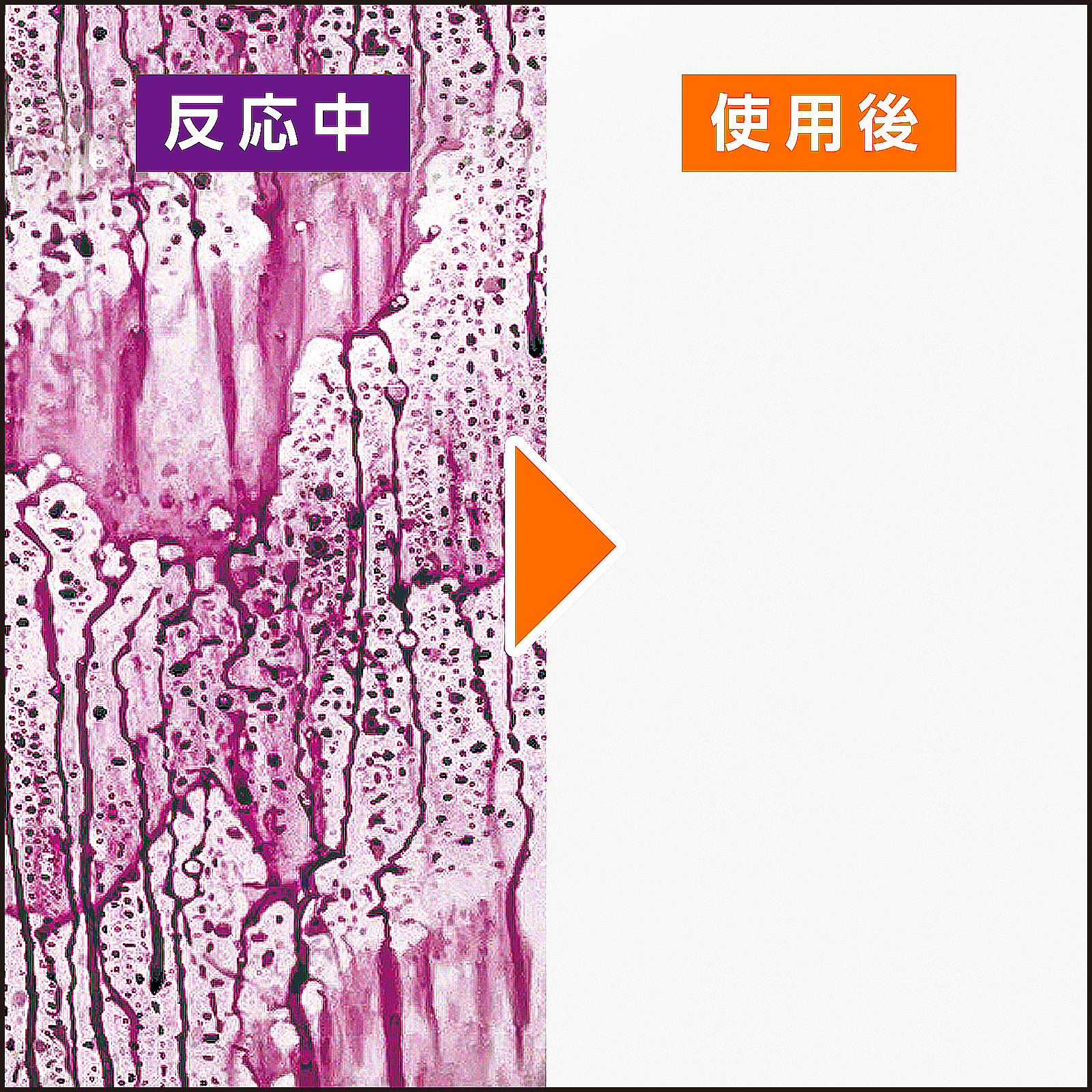 モンスター ベリーベリーラッシュ | 商品情報 | プロスタッフ