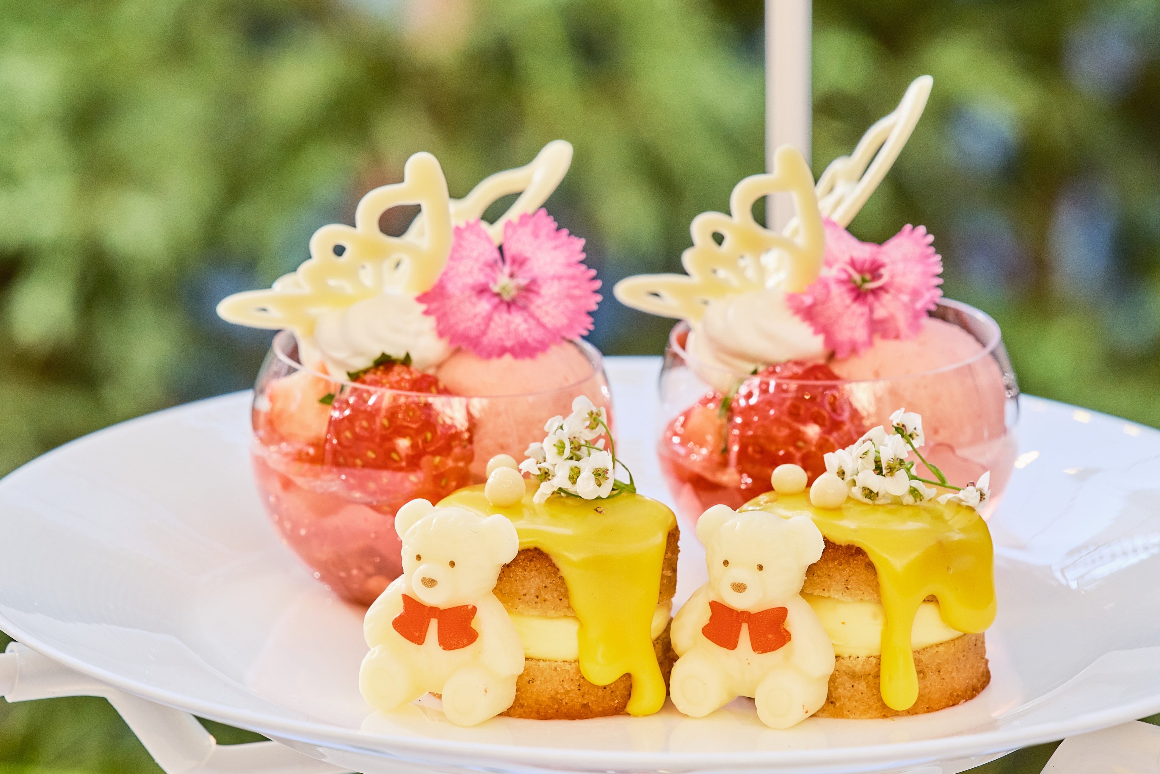 世界三大テディベア「ハーマンテディ」とのコラボレーション！春色満開