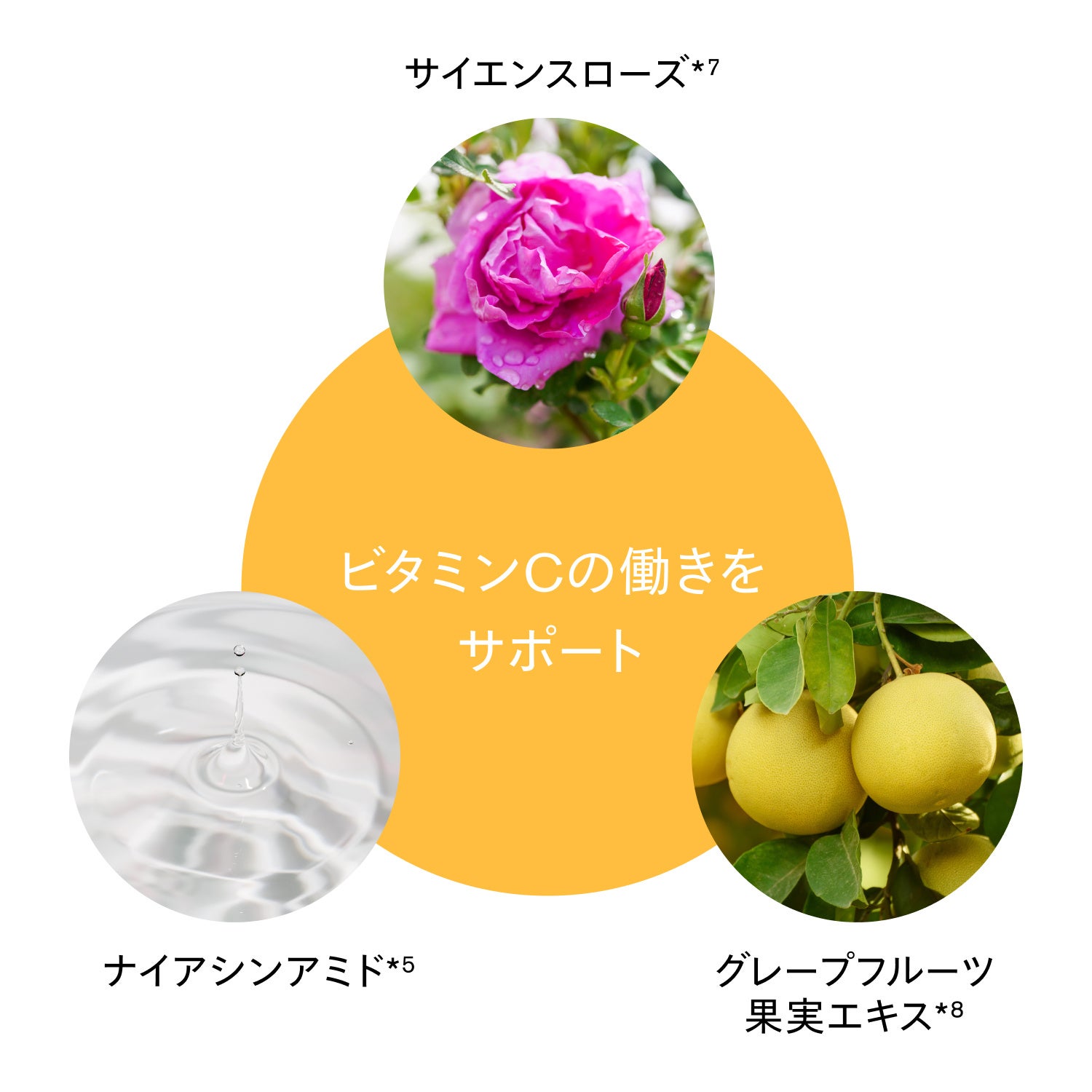 新発売】クリーンビューティブランド「SISI」より乾燥しやすい大人肌へ