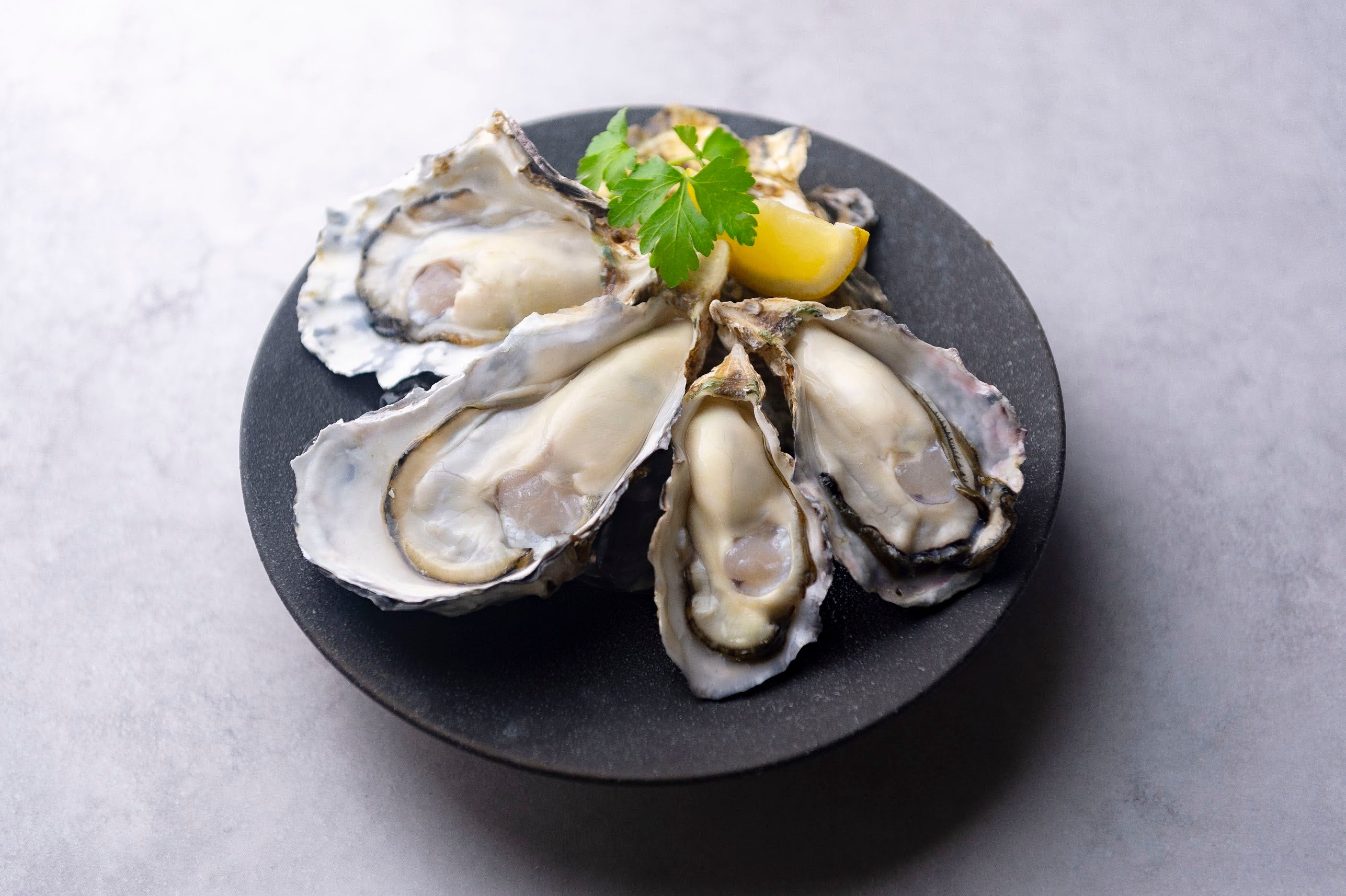 日本最大級のオイスターバーチェーンのゼネラル・オイスター『8TH SEA