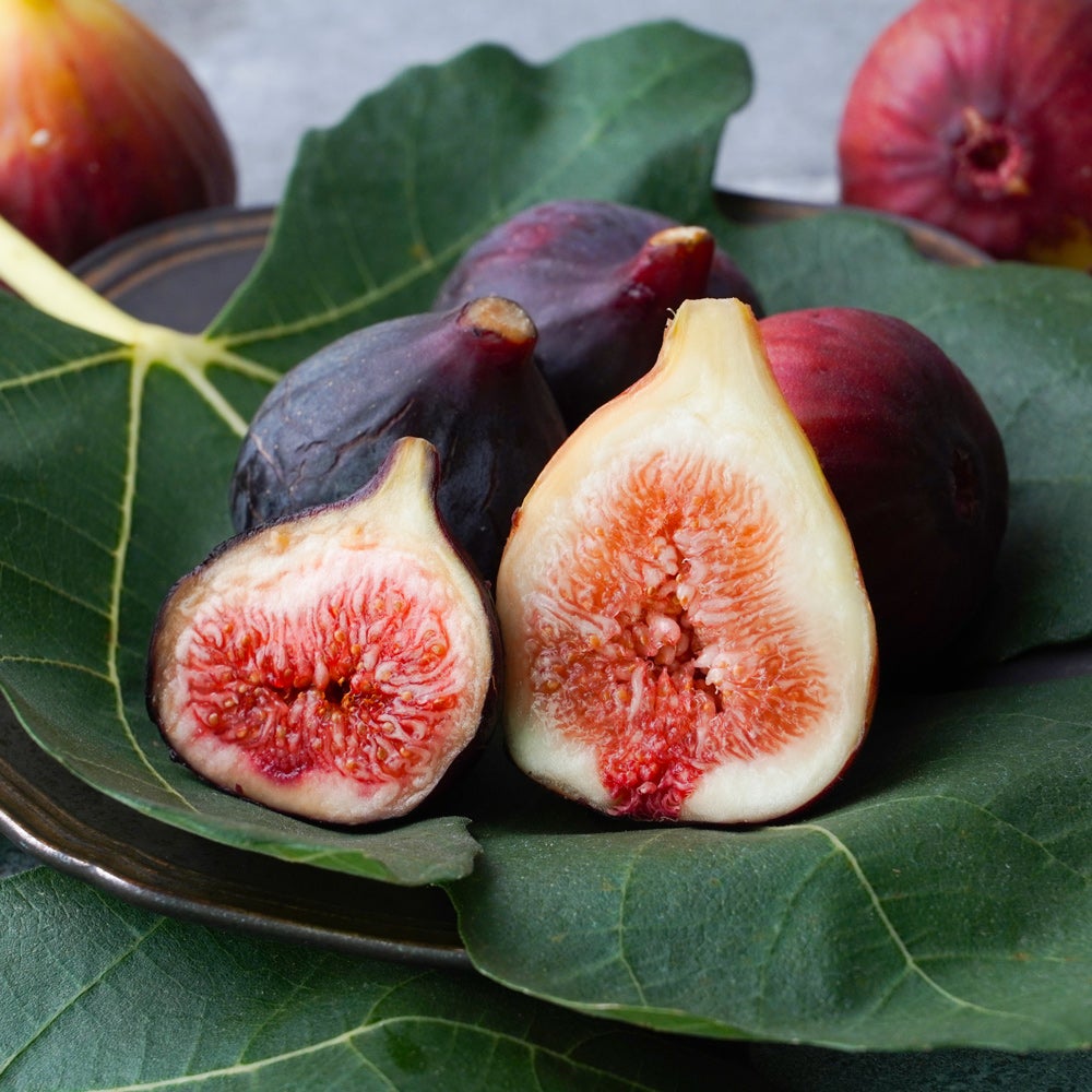 あかね農園】情報ネットten.放送記念！希少いちじく『ブラック