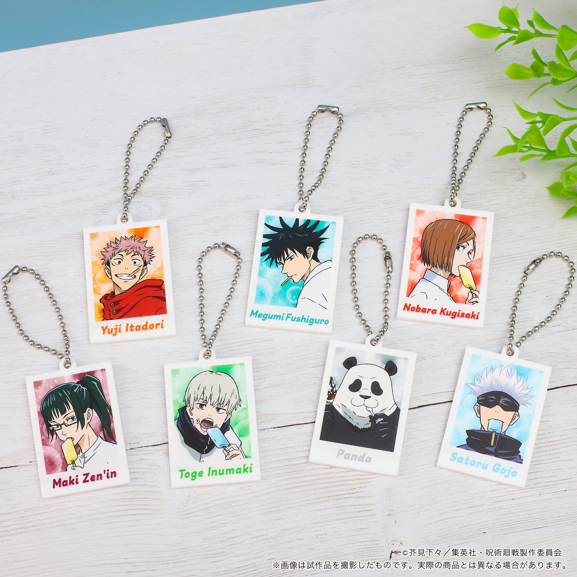 TVアニメ『呪術廻戦』より、ぱしゃこれミニアクリルキーホルダー