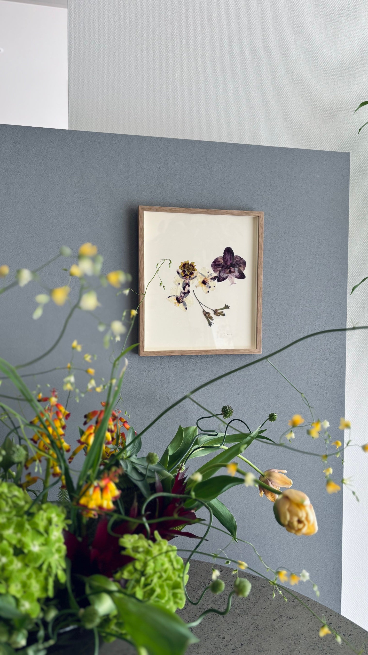 アルフレックス大阪】移ろいゆく美しさを味わう絵画のような押し花