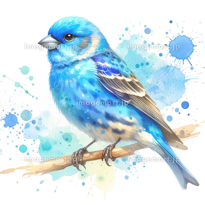 幸せの青い鳥、水彩（AI生成画像）のイラスト素材 [242421098]｜毎月1