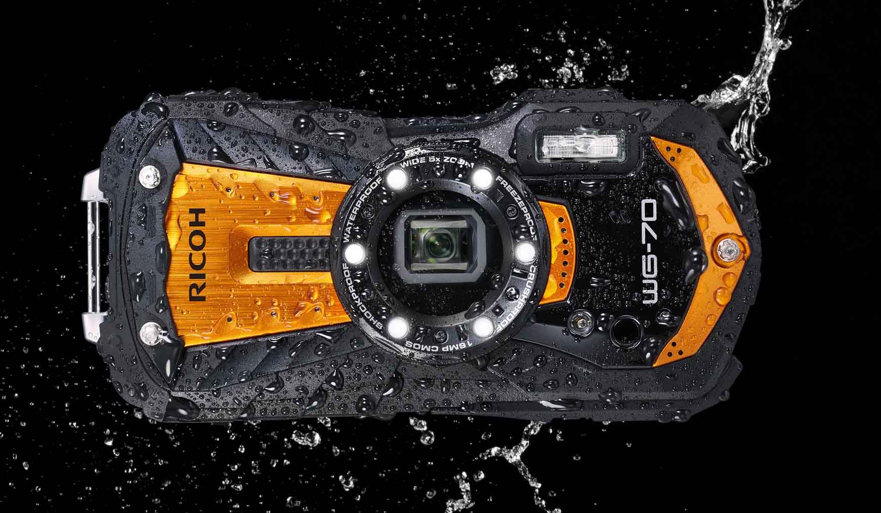 スマホには決して真似できない！夏のバカンスには水陸無双のモンスター