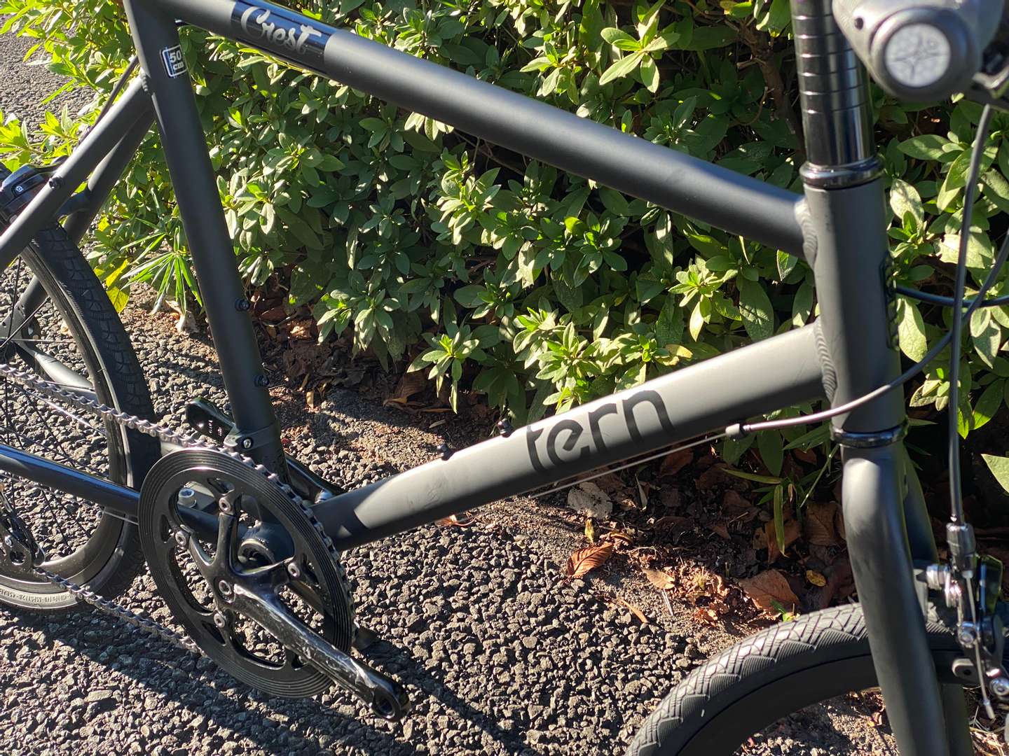 Tern CREST マットブラック/50 入荷 | 十日市場店ブログ | スポーク十