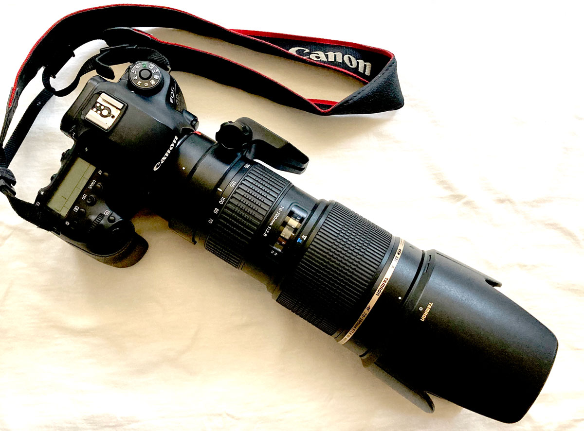 一眼レフはいらない？スマホのカメラとの違いを比較！