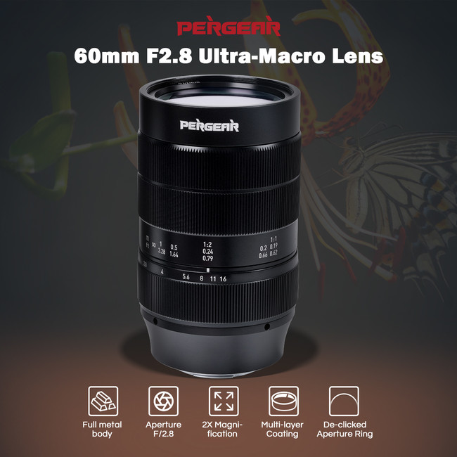 新発売】Pergear 60mm F2.8 マクロレンズ新登場！花、昆虫など撮影が