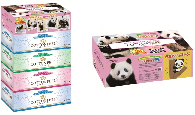 上野動物園の子パンダ「シャンシャン」BOXティシュー第2弾 コットン