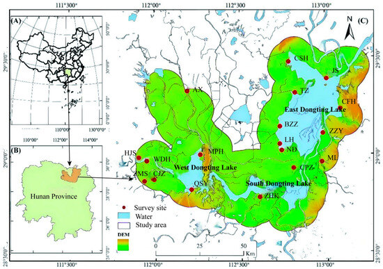 Effects of Vegetation Cover on Community Structure of Rodents