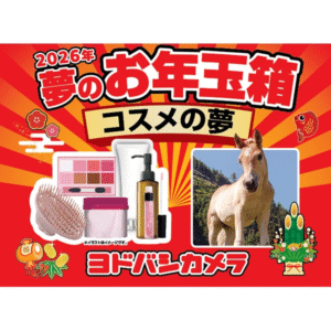 ヨドバシ福袋『コスメ・メンズコスメ』お年玉箱2026年！ネタバレ中身