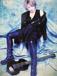 ピュアサウンド / sp_アーティスト_取扱商品_詳細表示_買取