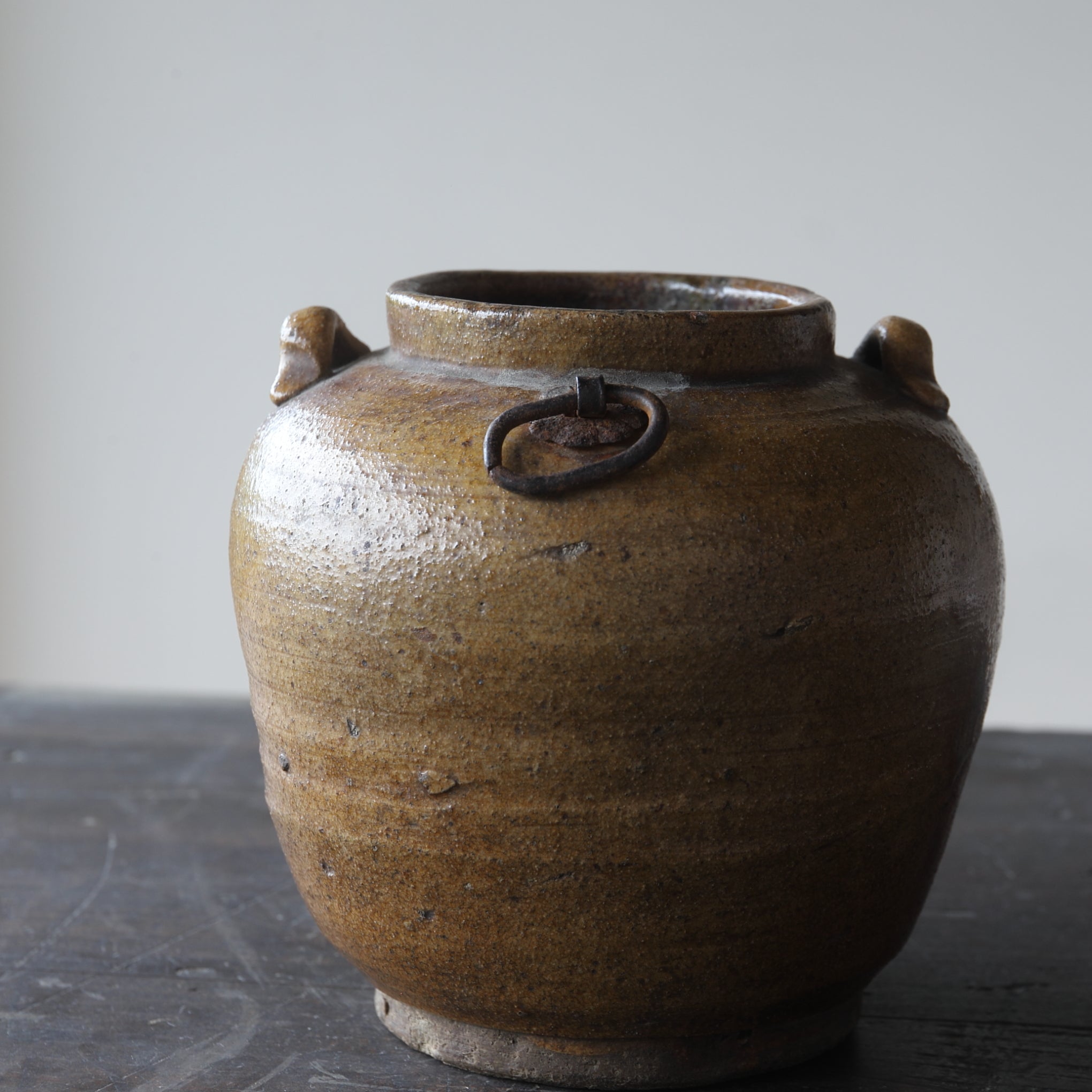 江戸時代 古瀬戸 鉄釉双耳掛花生（1603–1867 CE） | 入蘆花（ロカニイル）