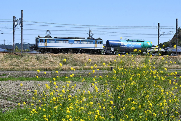 カラシ」のEF65でタキ1000形式1000号記念車が輸送される | 鉄道ホビダス