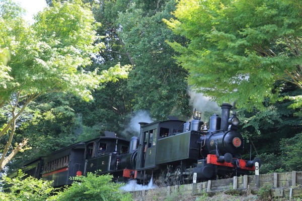 写真追加アリ※【オーバーホール前の特別企画】明治村の蒸気機関車が9号