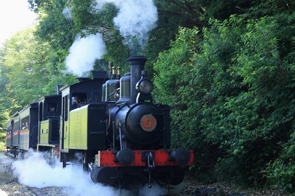 写真追加アリ※【オーバーホール前の特別企画】明治村の蒸気機関車が9号