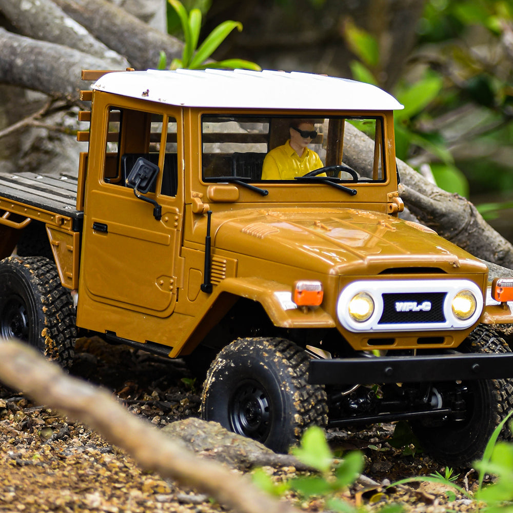 WPL JAPAN C44RTR – RAYWOOD